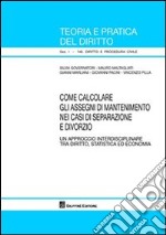 Come calcolare gli assegni di mantenimento nei casi di separazione e divorzio libro