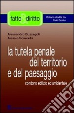 La tutela penale del territorio e del paesaggio. Condono edilizio ed ambientale