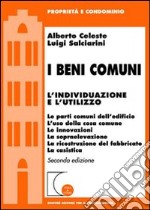 I beni comuni. L'individualizzazione e l'utilizzo libro