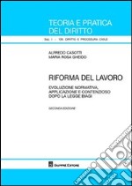 Riforma del lavoro. Evoluzione normativa, applicazione e contenzioso dopo la legge Biagi libro