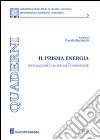 Il prisma energia. Integrazione di interessi e competenze libro di Buzzacchi C. (cur.)