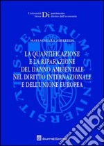 La quantificazione e la riparazione del danno ambientale nel diritto internazionale e dell'Unione europea