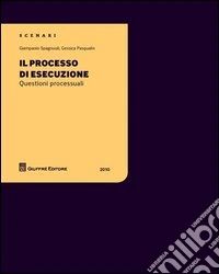 Il processo di esecuzione. Questioni processuali