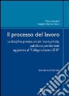 Il processo del lavoro. La disciplina processuale del lavoro privato, pubblico e previdenziale libro