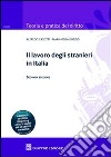 Il lavoro degli stranieri in Italia libro