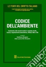 Codice dell'ambiente. Commento alle recenti novità in materia di AIA, caccia, inquinamento atmosferico, rifiuti, VS e VIA libro