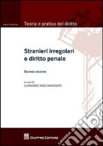 Stranieri irregolari e diritto penale