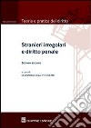 Stranieri irregolari e diritto penale libro