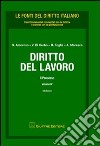 Diritto del lavoro. Vol. 4: Il processo libro