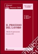 Il processo del lavoro. Addenda di aggiornamento al settembre 2011