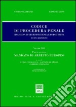 Codice di procedura penale. Rassegna di giurisprudenza e di dottrina. Vol. 13: Parte speciale. Mandato di arresto europeo libro