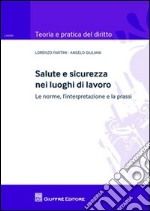 Salute e sicurezza nei luoghi di lavoro. Le norme, l'interpretazione e la prassi libro