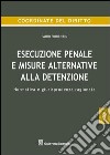 Esecuzione penale e misure alternative alla detenzione. Normativa e giurisprudenza ragionata libro