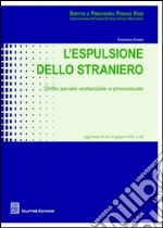 L'espulsione dello straniero. Diritto penale sostanziale e processuale libro