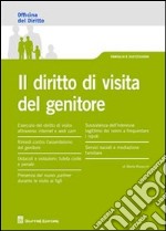 Il diritto di visita del genitore libro