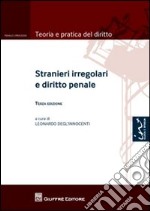 Stranieri irregolari e diritto penale libro