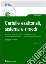 Castelle esattoriali, sistema e rimedi