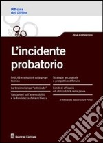 L'incidente probatorio