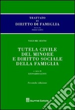 Trattato di diritto di famiglia. Vol. 6: Tutela civile del minore e diritto sociale della famiglia