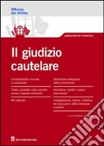 Il giudizio cautelare libro