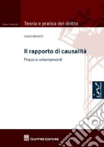 Il rapporto di causalità. Prassi e orientamenti libro