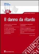 Il danno da ritardo libro