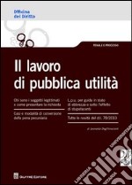 Il lavoro di pubblica utilità libro