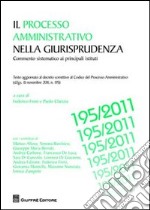 Il processo amministrativo nella giurisprudenza. Commento sistematico ai principali istituti