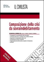 Composizione della crisi da sovraindebitamento libro