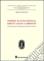 Imprese multinazionali, diritti umani e ambiente. Profili di diritto internazionale pubblico e privato