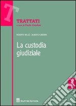 La custodia giudiziale libro