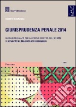 Giurisprudenza penale 2014. Guida ragionata per la prova scritta dell'esame di avvocato e magistrato ordinario libro