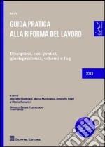 Guida pratica alla riforma del lavoro. Disciplina, casi pratici, giurisprudenza, schemi e faq libro