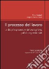 Il processo del lavoro. La disciplina processuale del lavoro privato, pubblico e previdenziale libro