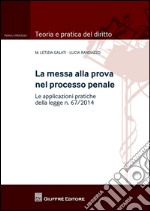 La messa alla prova nel processo penale. Le applicazioni pratiche della legge n. 67/2014 libro