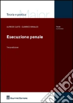 L Esecuzione Penale Alfredo Gaito E Gianrico Ranaldi Giuffr