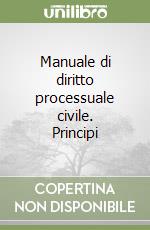 Manuale di diritto processuale civile. Principi