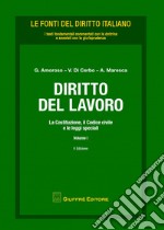 Diritto del lavoro. Vol. 1: La Costituzione, il codice civile e le leggi speciali libro