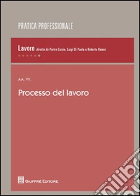 Processo del lavoro