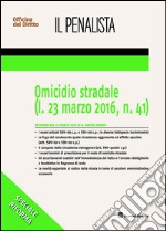 Omicidio stradale libro