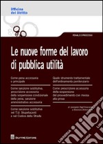 Le nuove forme del lavoro di pubblica utilità 