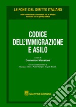 Codice dell'immigrazione e asilo