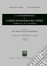 La giurisprudenza sul codice di procedura civile. Coordinata con la dottrina libro