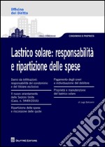 Lastrico solare. Responsabilità e ripartizione delle spese libro