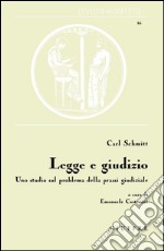 Legge e giudizio. Uno studio sul problema della prassi giudiziale libro