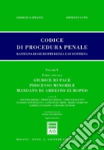 Codice di procedura penale. Rassegna di giurisprudenza e di dottrina (2017). Vol. 10: Parte speciale. Giudice di pace, processo minorile, mandato di arresto europeo libro