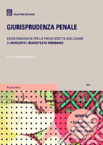 Giurisprudenza penale 2017 libro