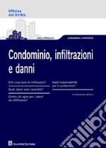 Condominio, infiltrazioni e danni libro