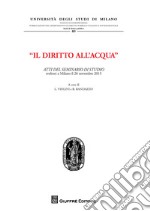 Il diritto all'acqua