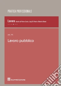Lavoro pubblico